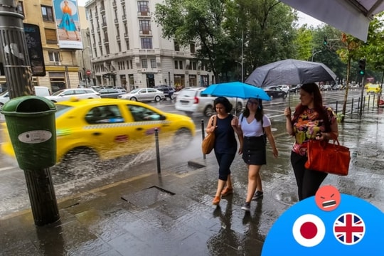 Những luật giao thông kỳ lạ trên thế giới