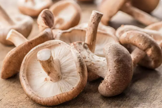 Nấm có thể giúp ngừa loãng xương và bệnh tim mạch?