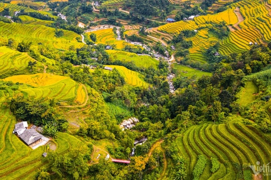 Mùa lúa chín vàng tuyệt đẹp ở nơi không có sự chen chúc ngạt thở