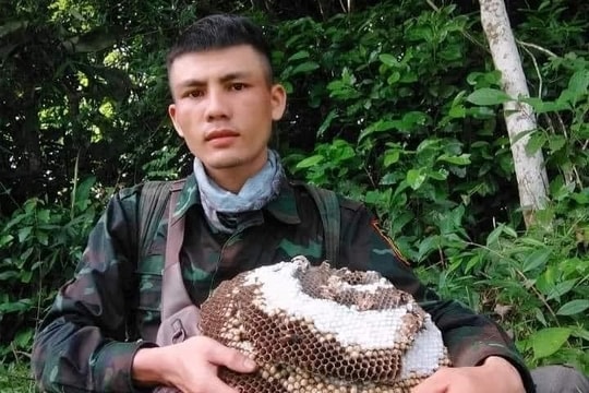 Hơn 300 người tìm kiếm nam thanh niên mất tích nghi do đi lạc trong rừng