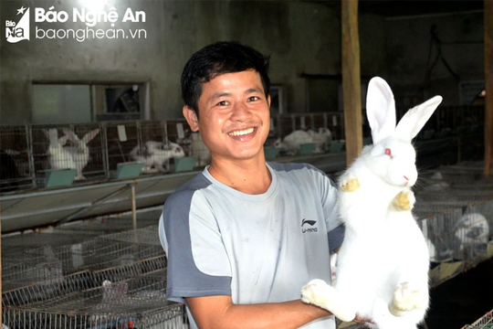 Thanh niên 9X Nghệ An lắp điều hoà nuôi thỏ New Zealand 