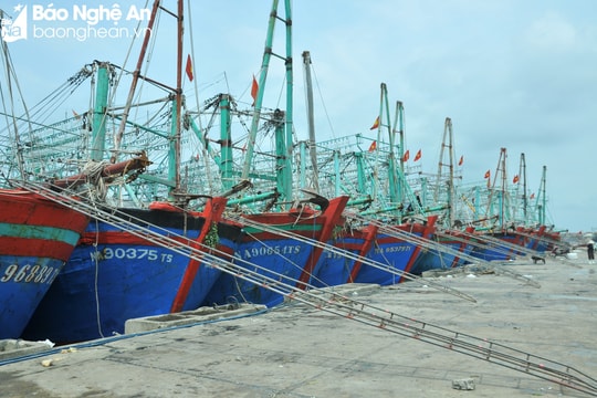 Bàn giải pháp chống khai thác hải sản bất hợp pháp