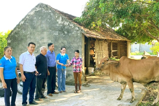 Nghệ An triển khai công tác rà soát hộ nghèo, hộ cận nghèo năm 2023