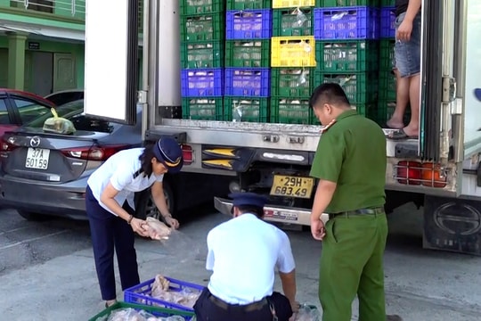 Phát hiện hơn 10 tấn gà đông lạnh không rõ nguồn gốc xuất xứ