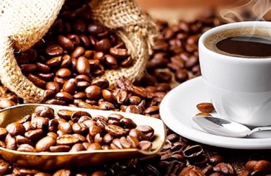 Giá cà phê hôm nay 14/11/2024: Giá cà phê tăng nhẹ trước giờ phán quyết