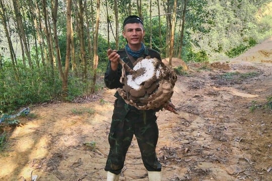 Tìm thấy thi thể nghi là nam thanh niên mất tích khi vào rừng săn ong ở Nghệ An