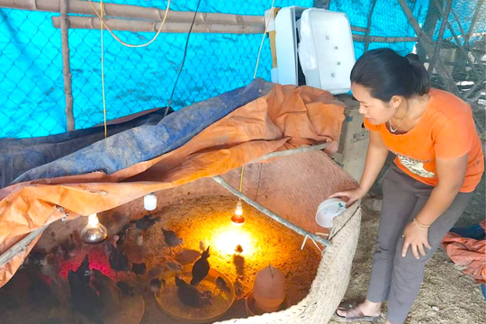 'Đường đi' để xin ra khỏi hộ nghèo của phụ nữ bản biên giới ở Kỳ Sơn 