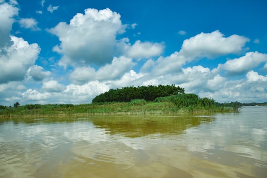 Những lão nông ở Thanh Chương biến bãi nổi thành cánh đồng trăm triệu