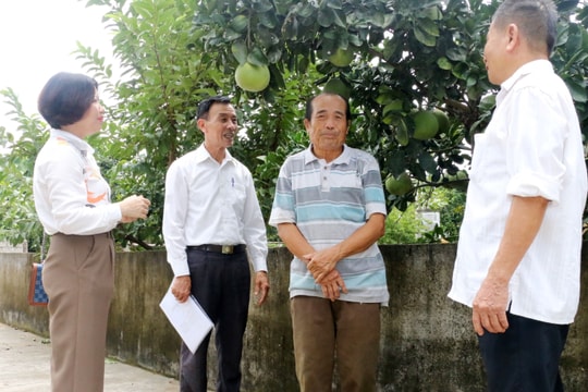 Nhiều thách thức với già hóa dân số