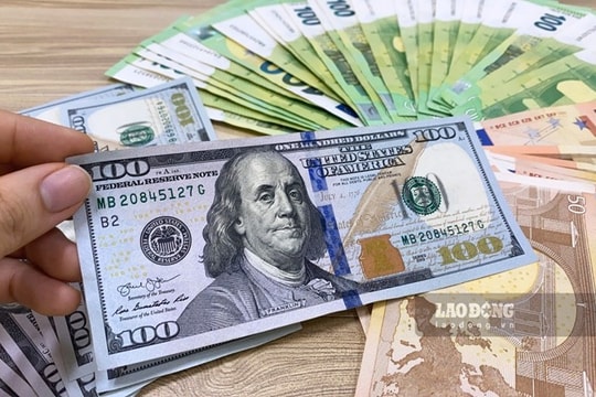 Giá USD tiếp tục leo dốc; Giá vàng quay đầu giảm đồng loạt