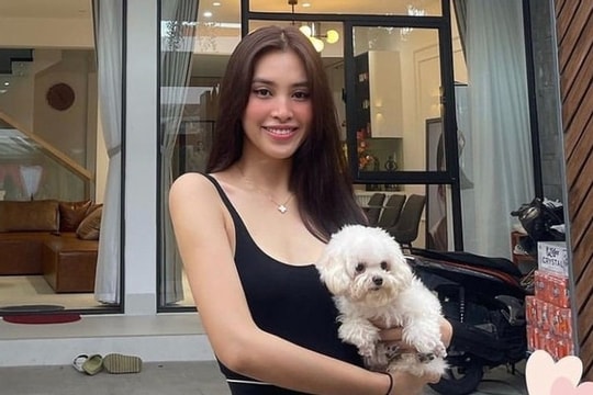 Nhà khang trang rộng rãi ở mặt phố của gia đình Hoa hậu Tiểu Vy