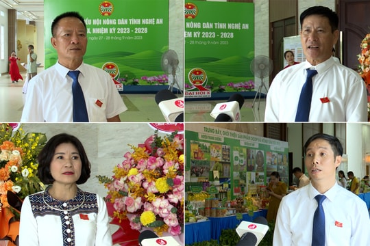 Video: Nông dân đặt nhiều kỳ vọng vào Đại hội lần thứ X Hội Nông dân tỉnh Nghệ An