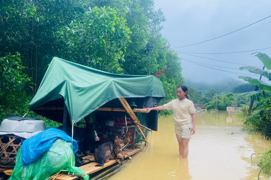 Ngớt mưa, người dân Thanh Chương bắt tay khắc phục hậu quả, ổn định cuộc sống