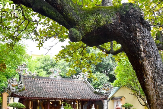 Thành Vinh - một miền di sản