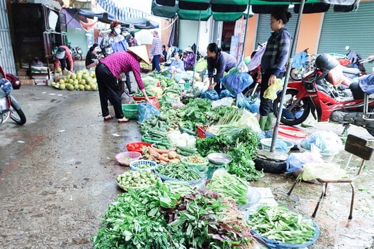 Sau mưa lũ, rau xanh ở Nghệ An 'đội giá'