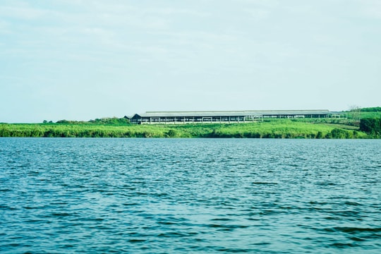 Dòng chảy xanh, trang trại sạch: Sử dụng hiệu quả tài nguyên nước tại trang trại TH