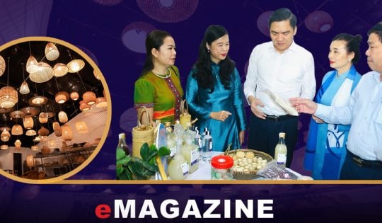 Bài 3: Lươn đồng “đi” container; đèn lồng 5 sao có mặt ở 34 nước