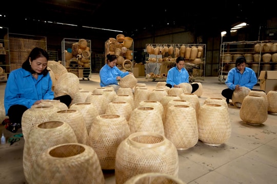 Khai thác hiệu quả tiềm năng để phát triển sản phẩm OCOP ở Nghệ An 