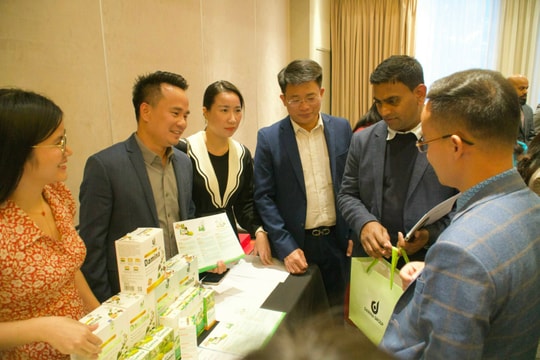 Nghệ An vận dụng tốt cơ hội đầu tư, giao thương với New Zealand và Australia