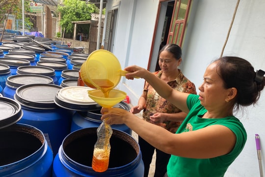 'Bệ đỡ' từ nguồn vốn vay chính sách ở Quỳnh Lưu