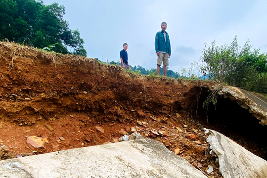 Đồng lúa ngập bùn, đập tràn nứt vỡ… ở vùng lũ Quỳ Châu