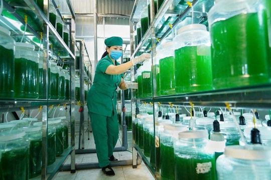 Nghệ An phấn đấu trở thành trung tâm khởi nghiệp sáng tạo vùng Bắc trung Bộ