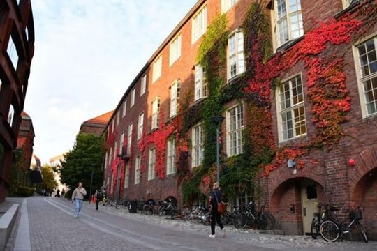 Một thành phố cấm xe xăng và dầu diesel từ 2025