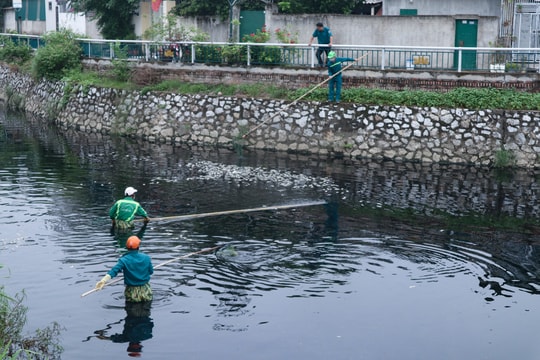Hàng tấn cá chết nổi trắng, TP Vinh lên kế hoạch xây dựng hệ thống bơm cưỡng bức thay lọc nước Hào thành 