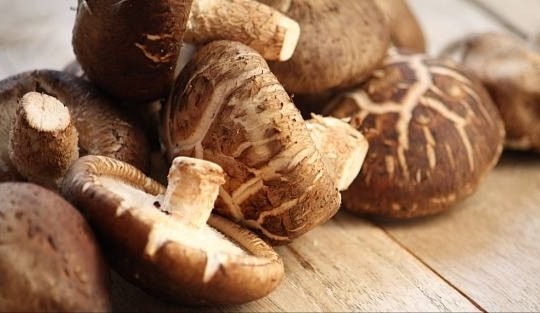 Loại nấm thơm ngon, tốt cho trái tim và trí não