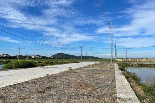 Vẫn chưa xử lý xong vụ cán bộ xã trúng đấu giá 23 lô đất tại huyện Quỳnh Lưu