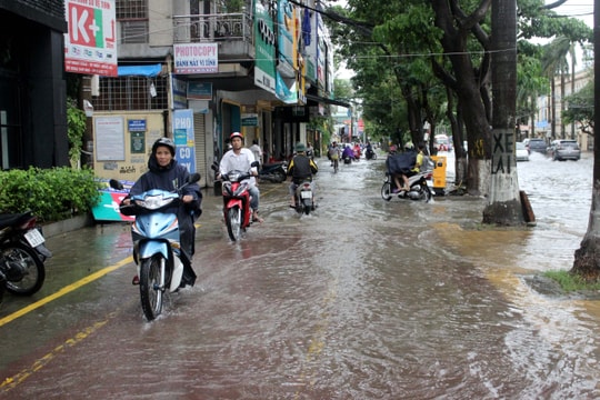 Nghệ An chủ động ứng phó vùng áp thấp có khả năng mạnh lên thành áp thấp nhiệt đới