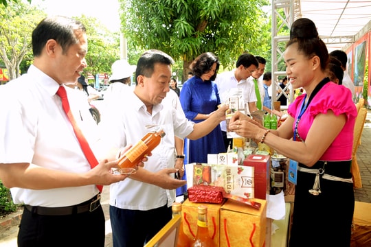 Nghệ An tăng cường công tác quản lý, nâng cao chất lượng, hình ảnh sản phẩm OCOP