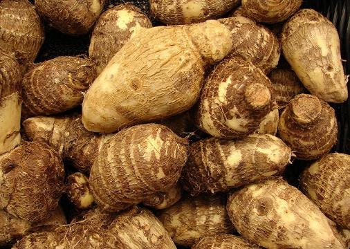 Khoai sọ không chỉ ăn ngon còn là vị thuốc