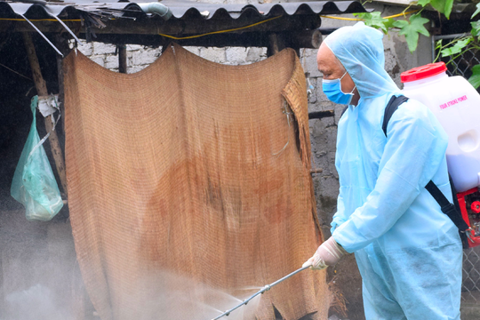 Diễn Châu tiêu huỷ hơn 14 tấn lợn do dịch tả châu Phi tái phát