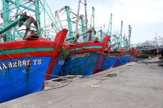Nghệ An tổng kiểm tra, rà soát số lượng và hiện trạng tàu cá trên địa bàn
