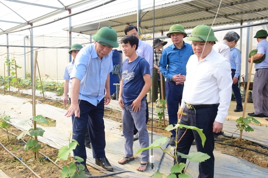 Xây dựng nông thôn mới nâng cao tại Nghệ An: Nhiều nơi đang có dấu hiệu chững lại?