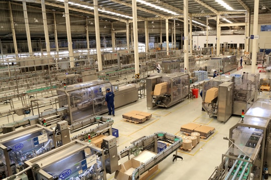 Các hoạt động hướng tới Net Zero tại Tập đoàn TH