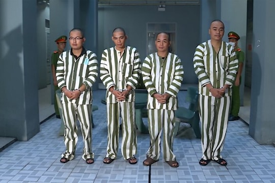 Triệt phá đường dây mua bán thận người núp bóng hiến tạng