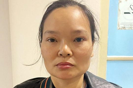 Vào vai môi giới bất động sản, người phụ nữ lừa đảo chiếm đoạt gần 30 tỷ đồng