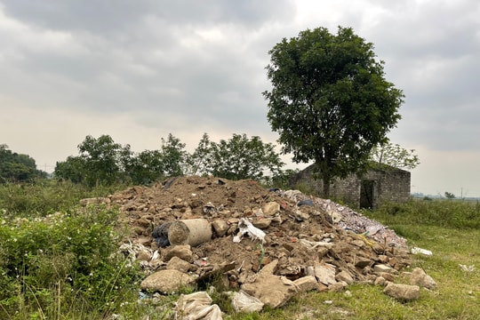 Tăng cường xử lý vi phạm hành chính đối với hành vi xả rác thải bừa bãi ra môi trường