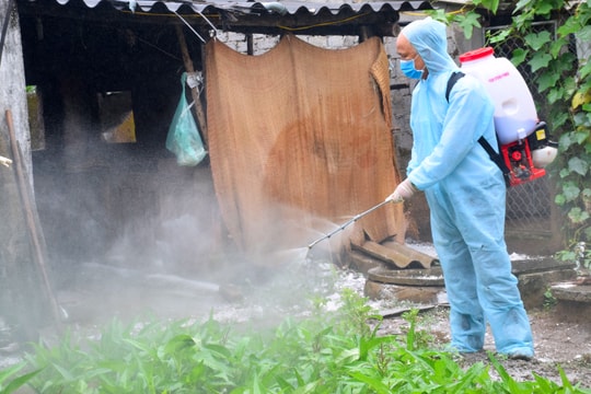 Nghệ An ban hành công điện khẩn về phòng, chống dịch bệnh gia súc, gia cầm