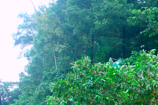 Hàng tấn đất đá ập xuống, nhiều hộ dân tháo chạy trong đêm