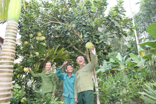 Sức sống mới ở Truông Bồn