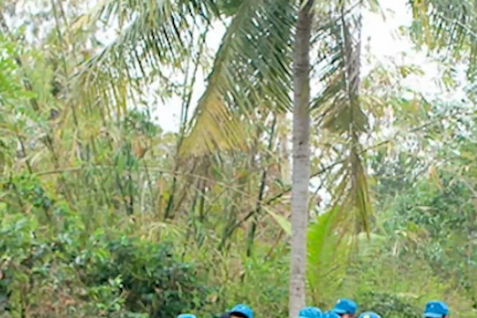 Thành lập chi bộ quân sự ở tất cả xã, phường, thị trấn trong tháng 12/2023