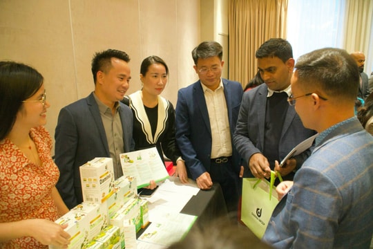 Nghệ An hỗ trợ doanh nghiệp tham gia mạng lưới phân phối nước ngoài