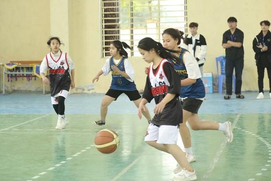 Phát triển môn bóng rổ trong trường học ở Nghệ An