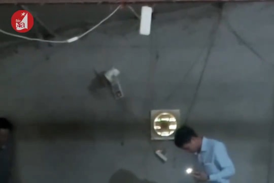 Thành công từ nuôi loại ‘chuột mốc’ sợ ồn, ham ăn