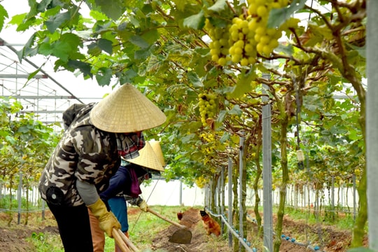 Nghệ An ban hành kế hoạch hành động tăng trưởng xanh đến năm 2030