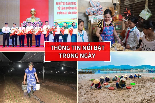 Nghệ An: Thông tin nổi bật ngày 8/11