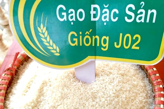 Vựa lúa xứ Nghệ xây dựng thương hiệu gạo đặc sản Yên Thành